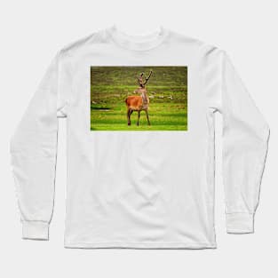 Highland Stag Long Sleeve T-Shirt